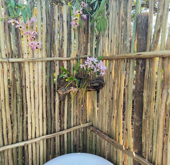 ３ベッドルームハウス, Eloff Guest House And Gallery