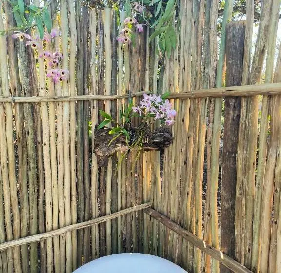3ベッドルームハウス, Eloff Guest House And Gallery