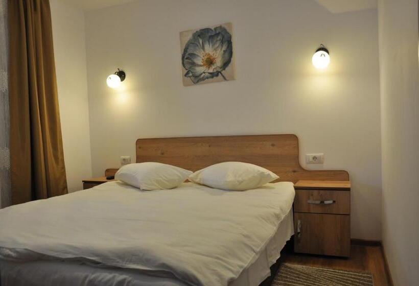 Номер Стандарт, Pensiunea La Ionica