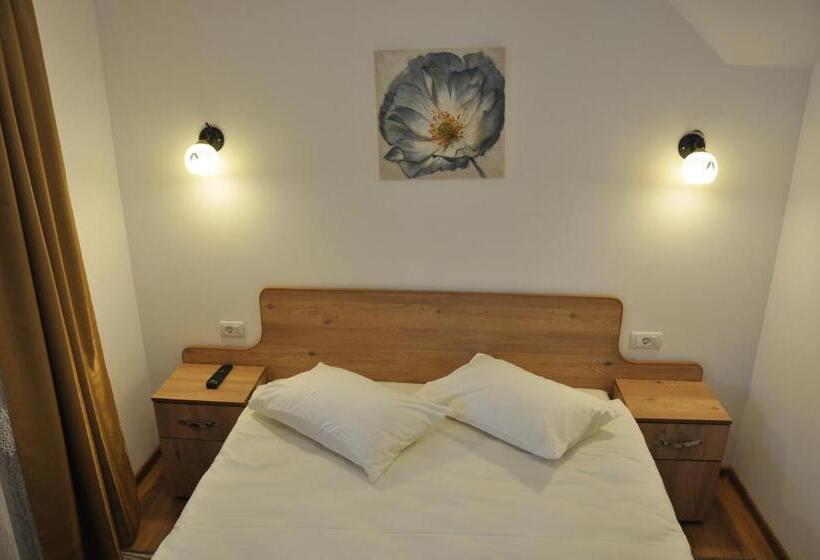 Номер Стандарт, Pensiunea La Ionica