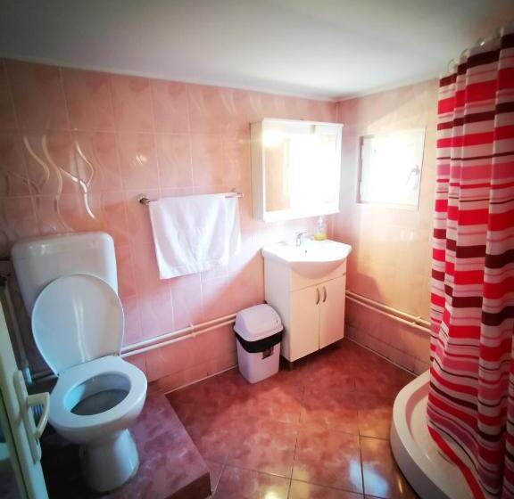 Номер Economy, Pensiunea La Ionica