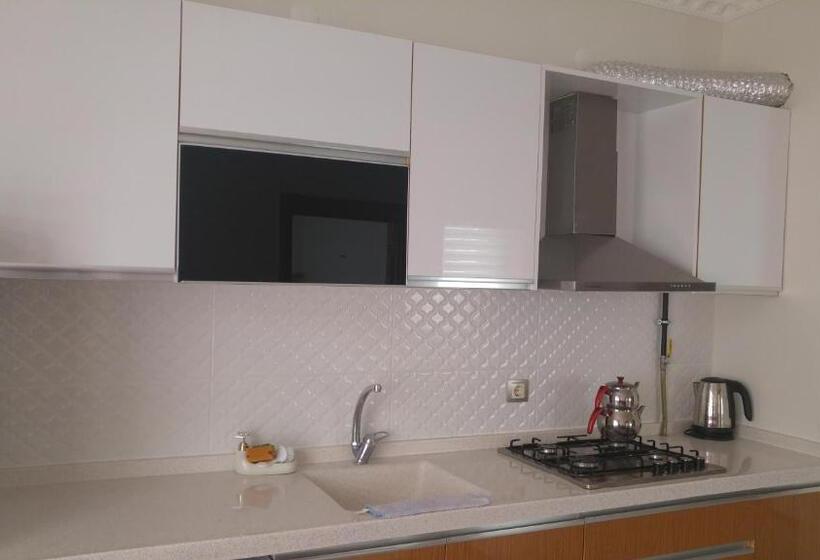 Апартаменты 1 Спальня с Балконом, Duman Safir Rezidans