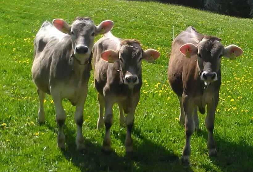 带2个卧室的公寓, Bauernhof Dünser