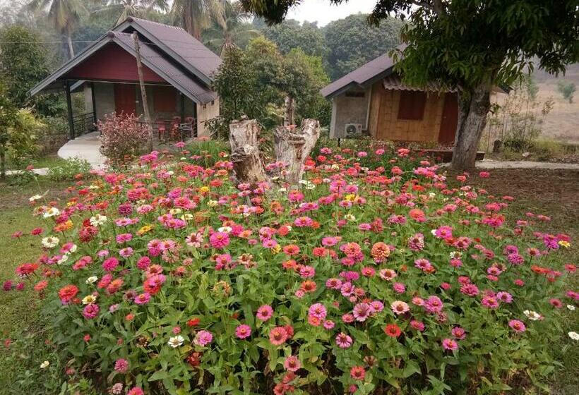 기본룸, Ban Suan Sukjai Mae Sariang