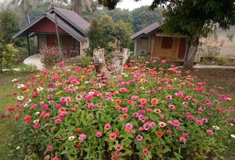 ベーシックルーム, Ban Suan Sukjai Mae Sariang