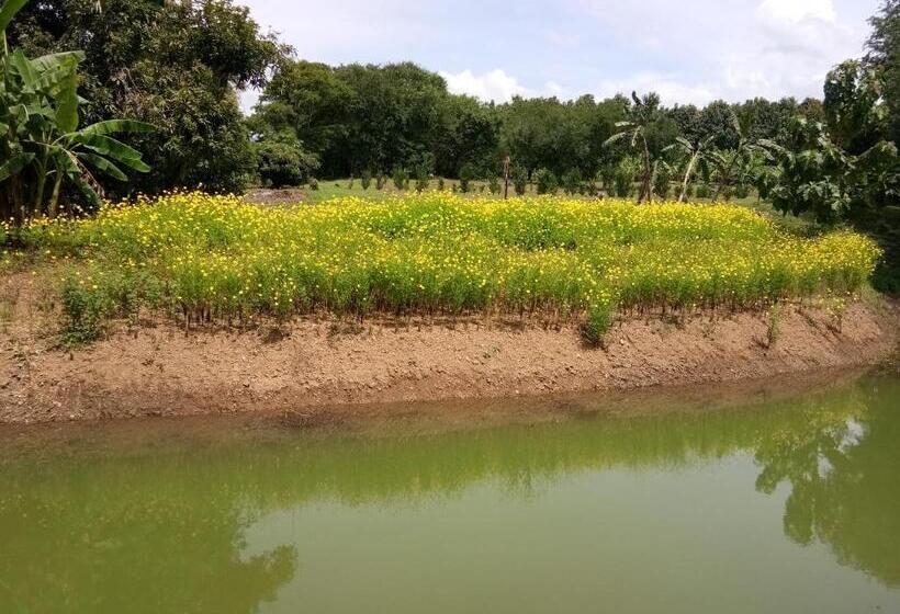 חדר בסיסי, Ban Suan Sukjai Mae Sariang