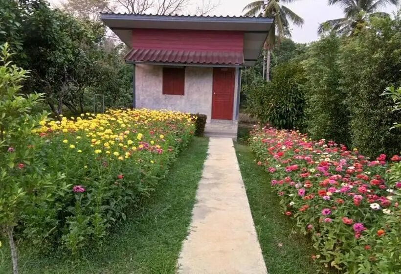 スタンダードバンガロー, Ban Suan Sukjai Mae Sariang