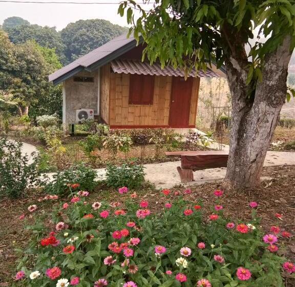 חדר בסיסי, Ban Suan Sukjai Mae Sariang