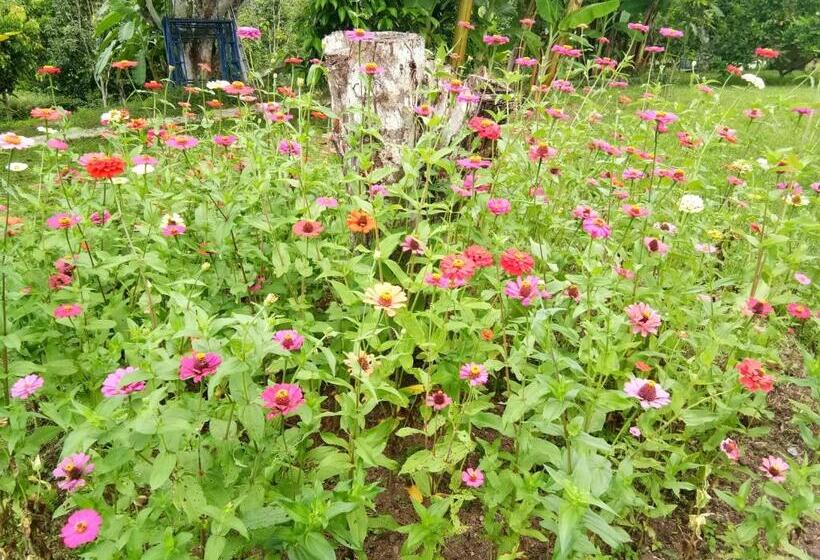 חדר בסיסי, Ban Suan Sukjai Mae Sariang