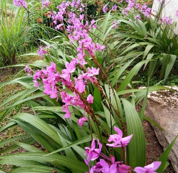 חדר דלוקס עם מרפסת, Ban Suan Sukjai Mae Sariang