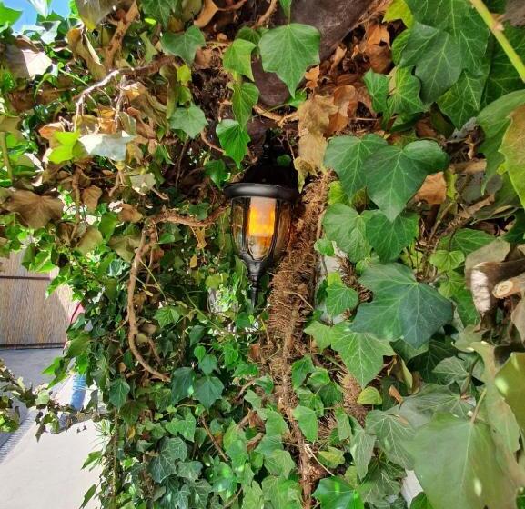 דירת חדר, Pensiunea La Gura Portitei   Jurilovca