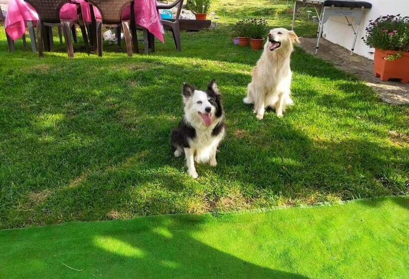 共用房间的床, Albergue El Castillo