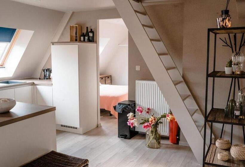 带露台的标准工作室, Jeanne