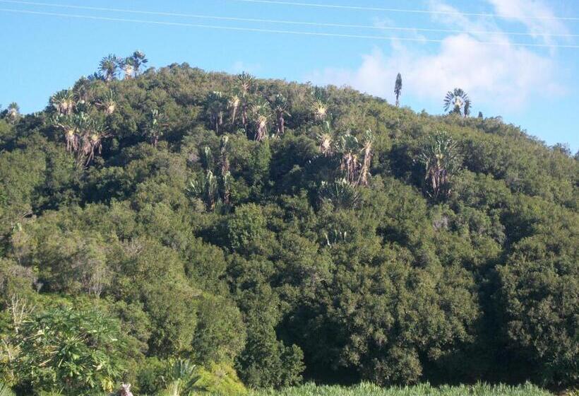 اتاق استاندارد با چشمانداز باغ, Le Rubinjo 2