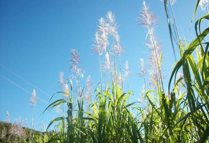 اتاق استاندارد با چشمانداز باغ, Le Rubinjo 2