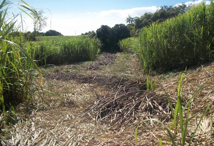 اتاق استاندارد با چشمانداز باغ, Le Rubinjo 2