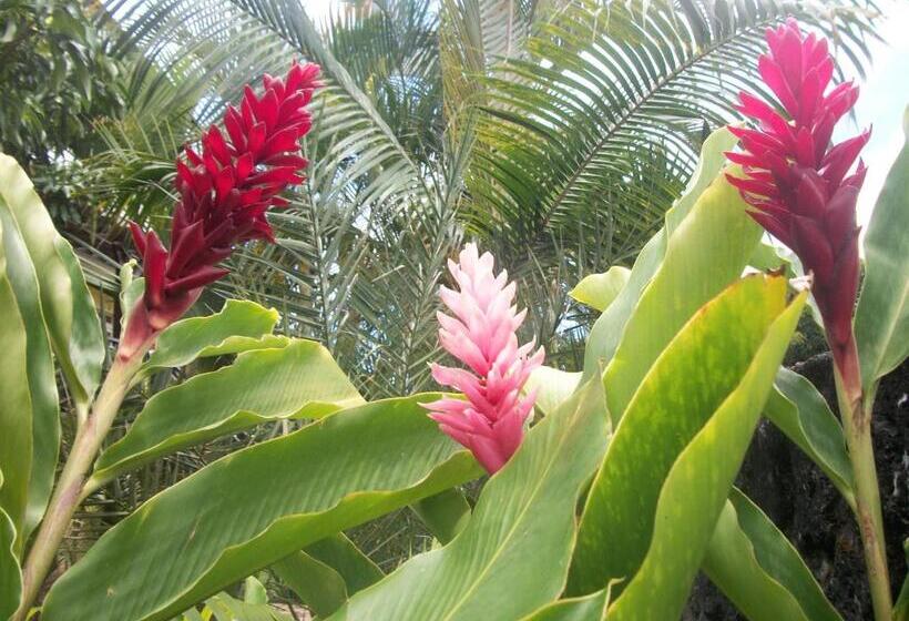 اتاق استاندارد با چشمانداز باغ, Le Rubinjo 2