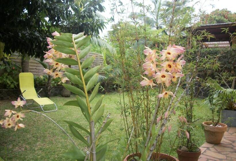 اتاق استاندارد با چشمانداز باغ, Le Rubinjo 2