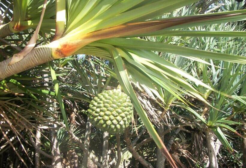 اتاق استاندارد با چشمانداز باغ, Le Rubinjo 2