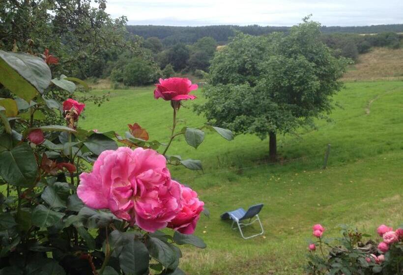 标准间带阳台, Landhaus Bad Bertrich