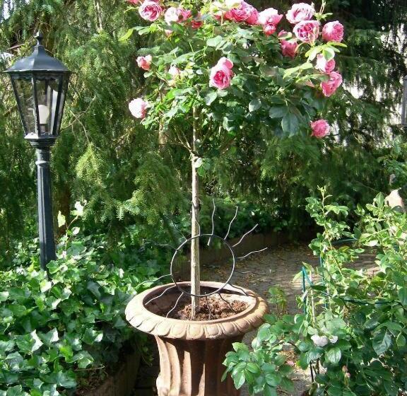 标准间带阳台, Landhaus Bad Bertrich