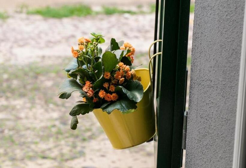 标准间, Santa Chiara   Il Milese