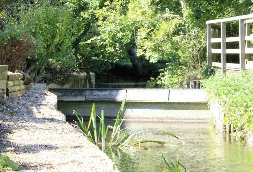 חדר סטנדרט עם מיטת קינג, Waterfield House B&b