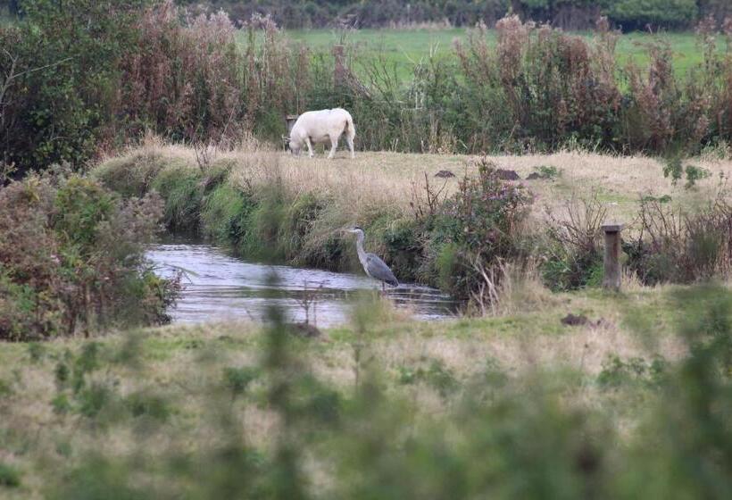 חדר סטנדרט נוף לנהר, Waterfield House B&b