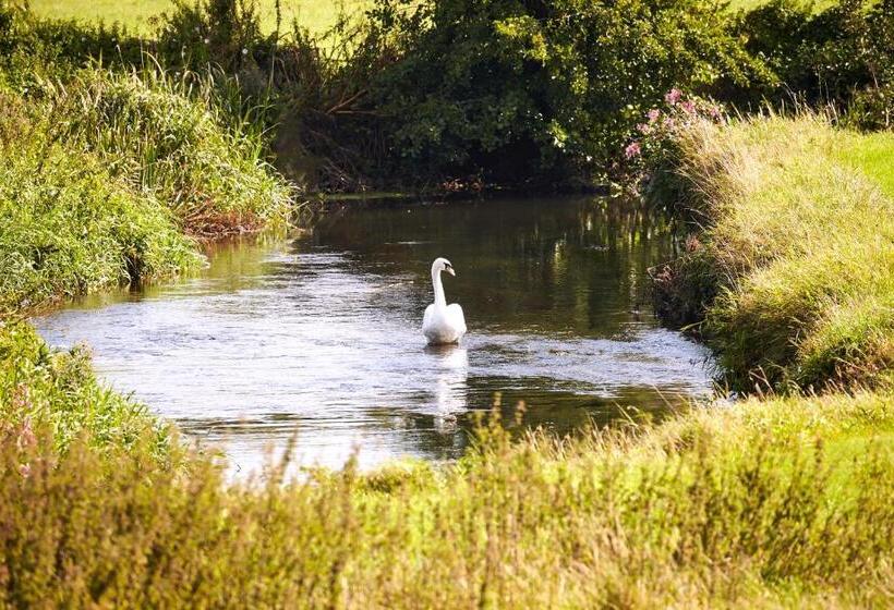 חדר סטנדרט נוף לנהר, Waterfield House B&b