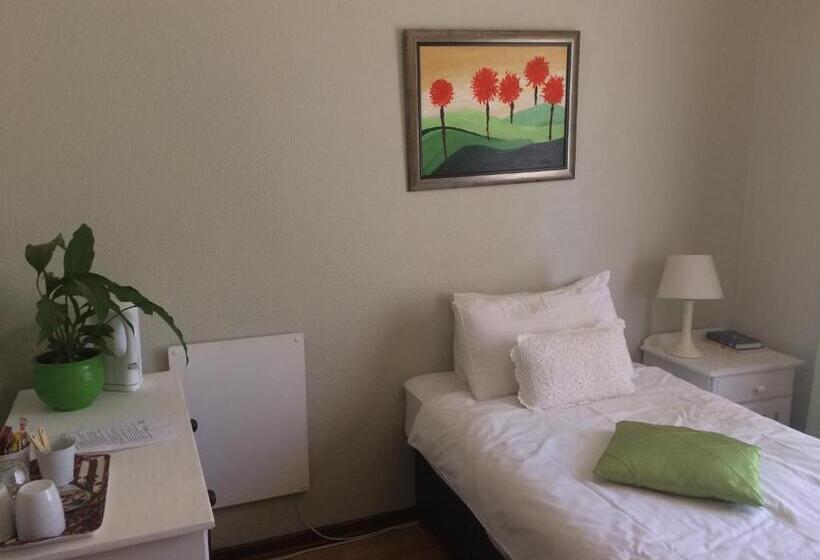 スタンダードシングルルーム, At The View B&b