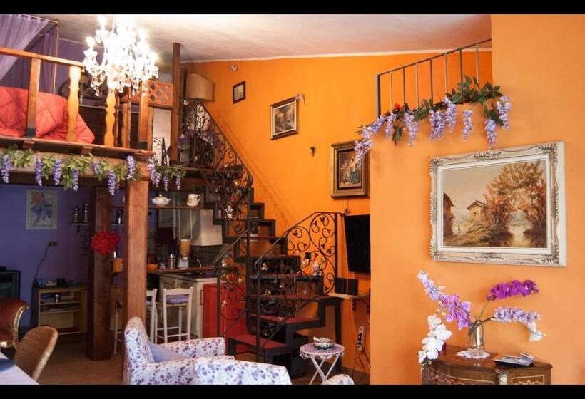 חדר סטודיו סטנדרד, Amarcord