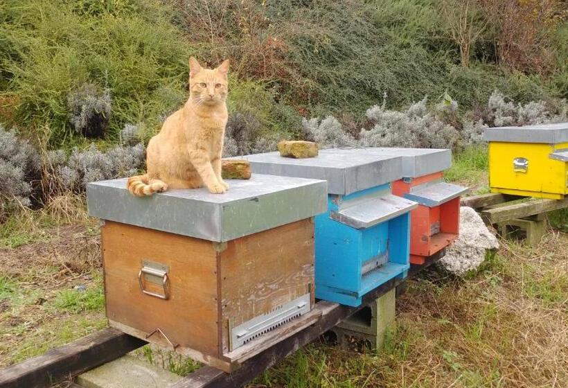 غرفة قياسية مزوَّدة بشُرفة, Il Ghiro Dormiglione