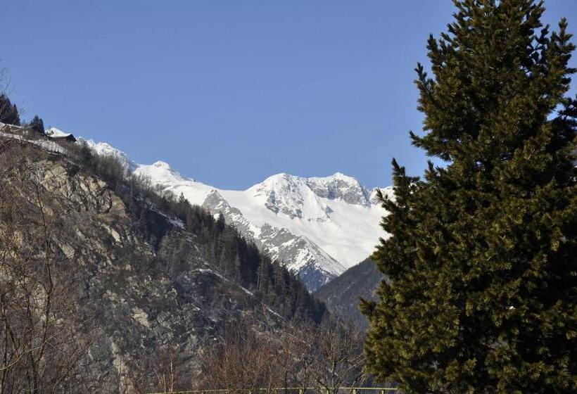 带阳台的标准单人间, Garni Schwarzenstein