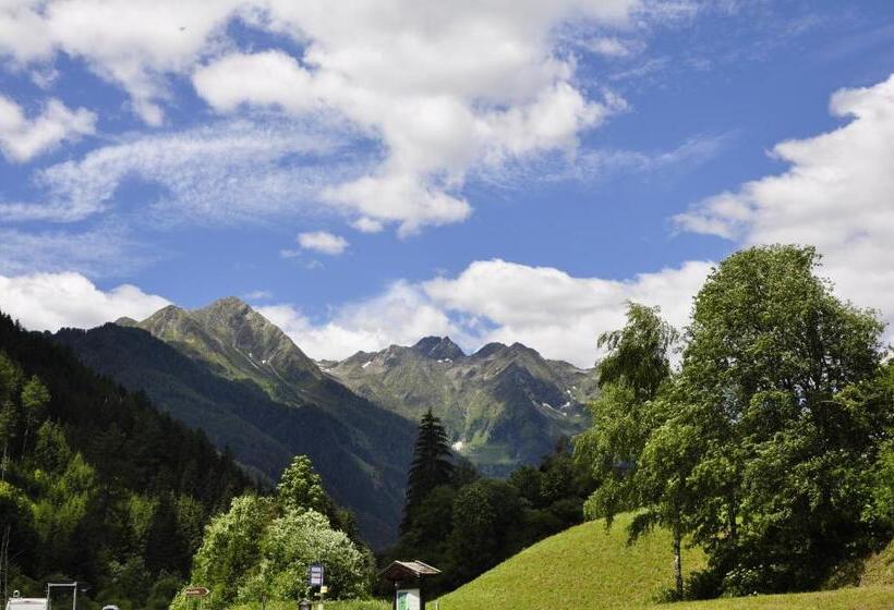 带阳台的标准单人间, Garni Schwarzenstein