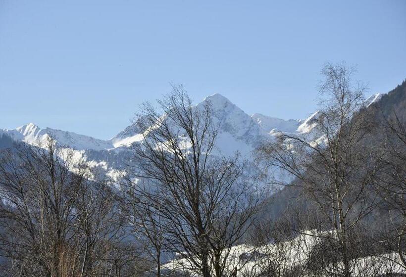 标准单人间, Garni Schwarzenstein