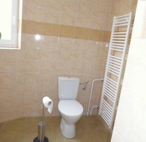 バス共有のスタンダードルーム, Rodinný Penzion Kyjov