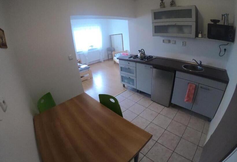 4ベッドルームハウス, Rodinný Penzion Kyjov