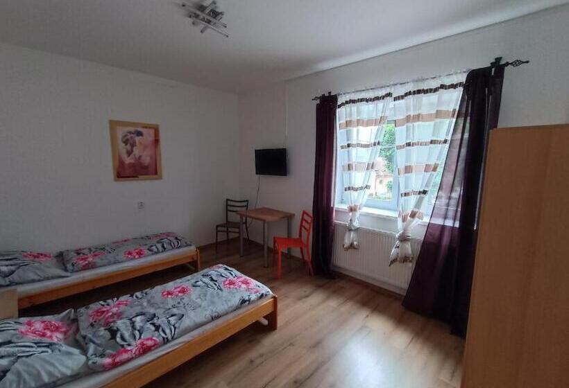 4ベッドルームハウス, Rodinný Penzion Kyjov