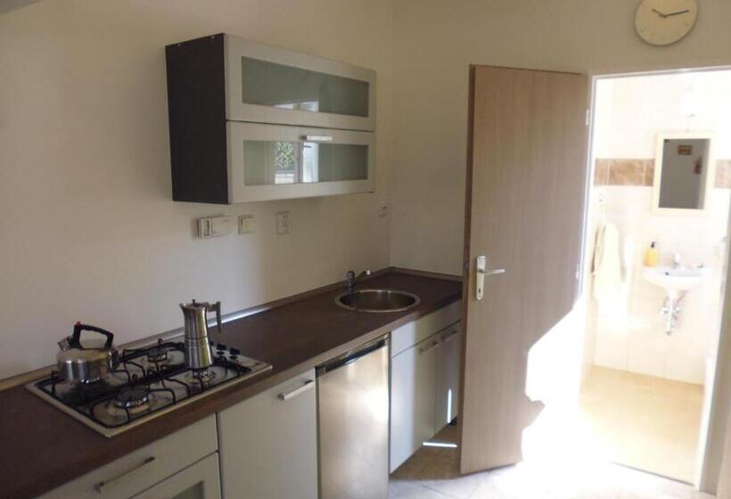 ファミリーステューディオ, Rodinný Penzion Kyjov