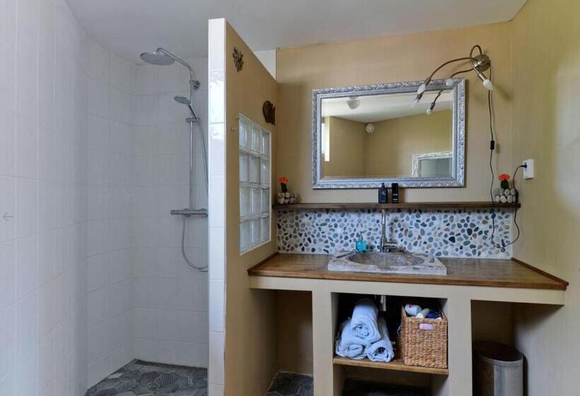 غرفة قياسية حمام مشترك, Silver Moon Bed & Breakfast