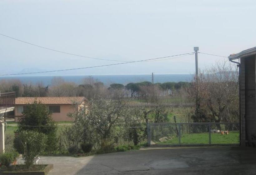 スタンダード4人部屋, Art Gallery B&b