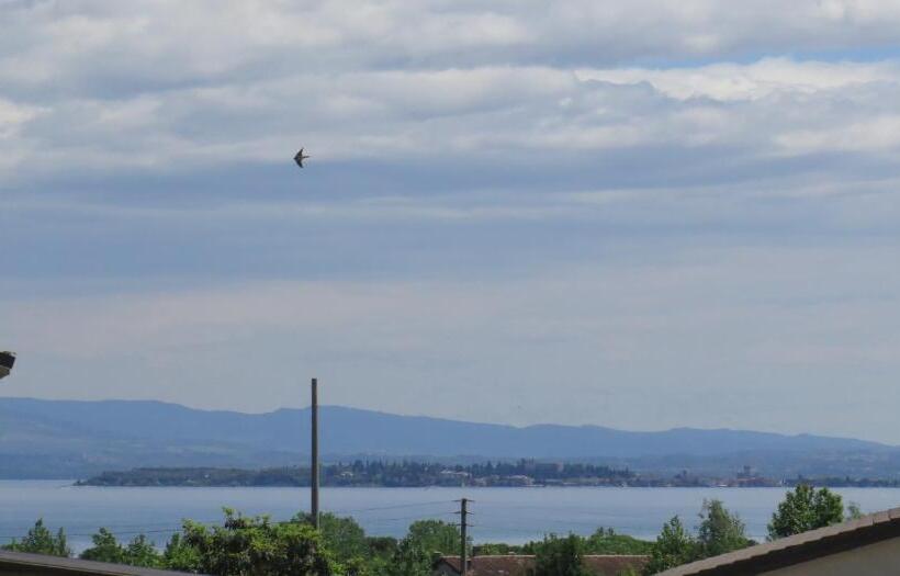 スタンダード4人部屋, Art Gallery B&b