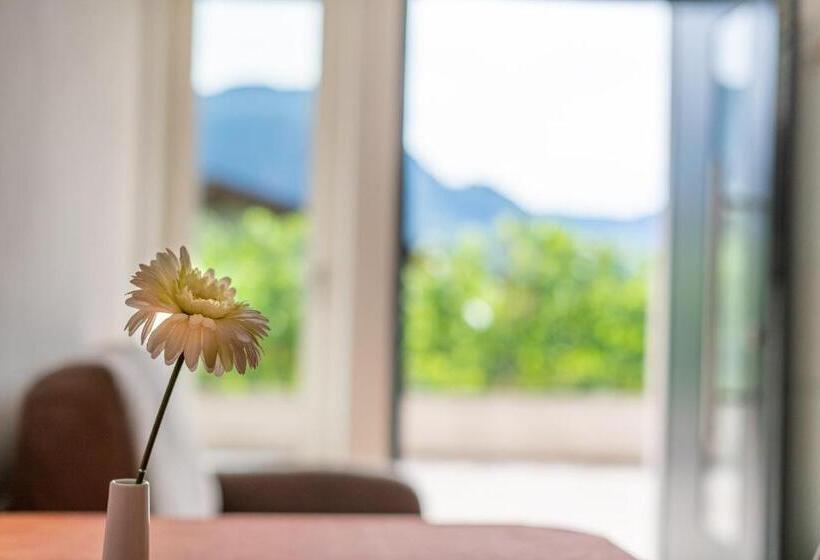 １ベッドルームアパートメント, Haus Stolz