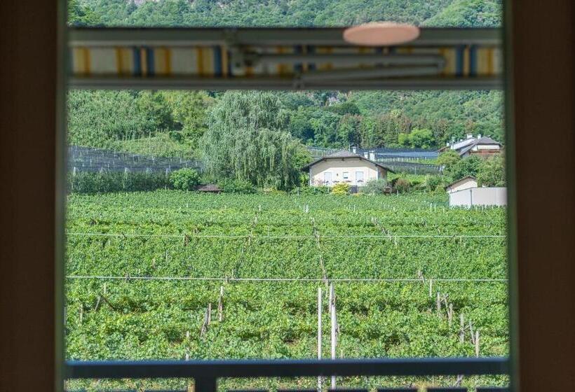 景色の見える一ベッドルームアパートメント, Haus Stolz