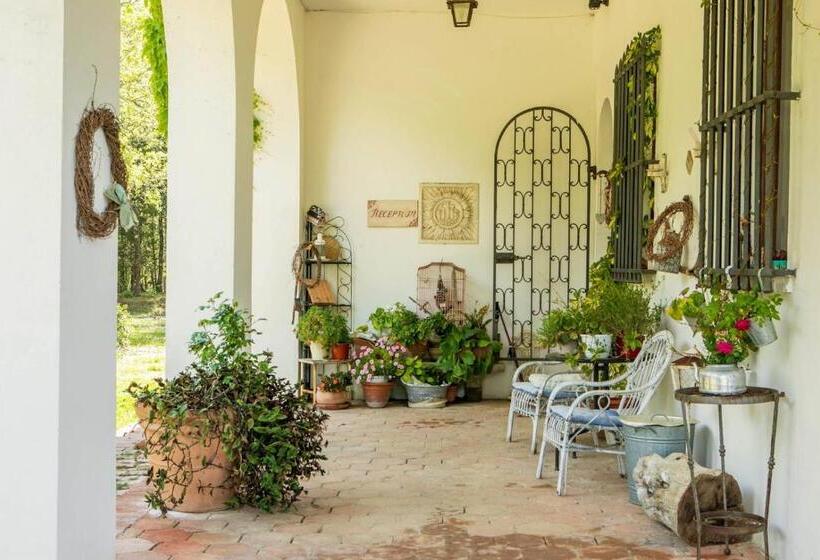 ویلای یک اتاق خوابه با استخر شنا, Villa Albertina