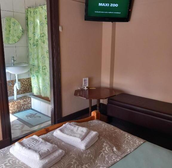 اتاق استاندارد, Maza Kalna 27