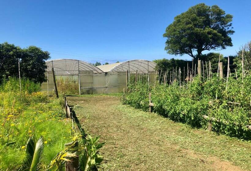 דירת חדר נוף לגינה, Quinta Dos Sabores Farm Houses