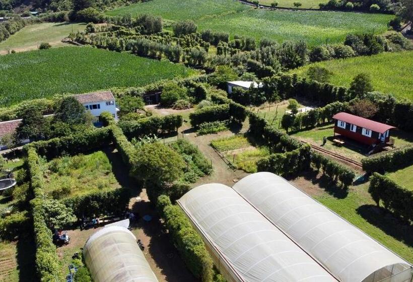 Апартаменты 1 Спальня Вид на Сад, Quinta Dos Sabores Farm Houses