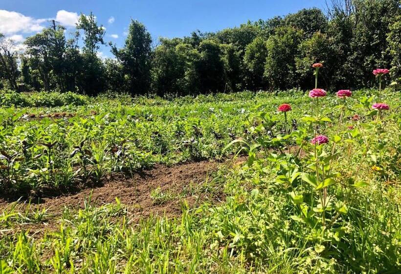 דירת חדר נוף לים, Quinta Dos Sabores Farm Houses