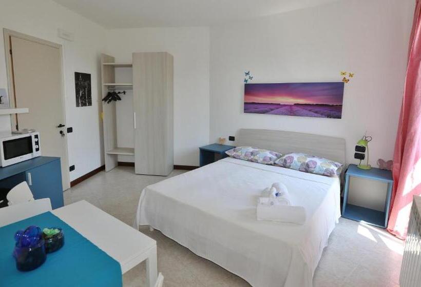 חדר סטנדרט, Camera Molly